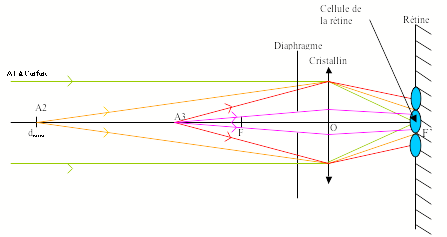 Image:Loupe_pct1.png